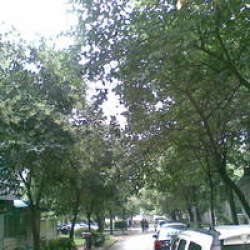 茶西里小區 茶西里小區