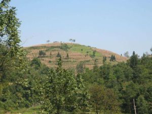 林場自然村 林場自然村