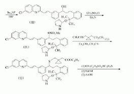 孟魯司特 孟魯司特