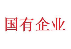 國有企業 國有企業