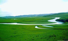 紅原草原 紅原草原