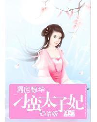 洞房驚華:刁蠻太子妃 洞房驚華:刁蠻太子妃