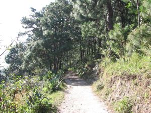 小浪江村 小浪江村