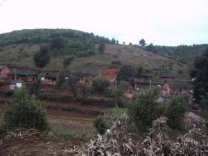 坪子上村 坪子上村