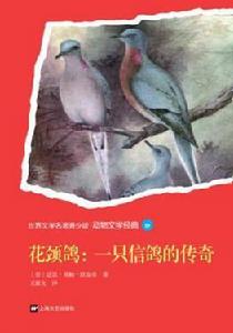 花頸鴿：一隻信鴿的傳奇