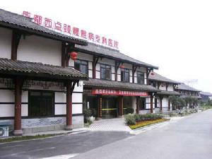 成都西點頸腰椎病專科醫院