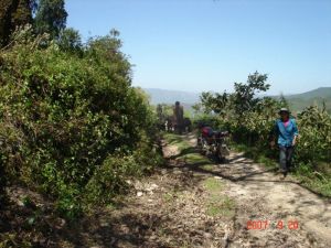箐門口新村 箐門口新村