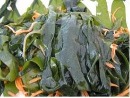 涼拌海芽菜 涼拌海芽菜