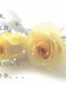 九九文章網 九九文章網