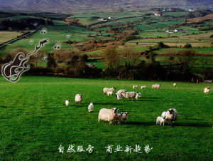 自然服務 自然服務