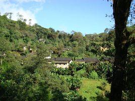 苤菜壩自然村 苤菜壩自然村