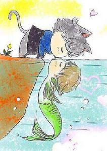 魚兒愛上貓咪 魚兒愛上貓咪