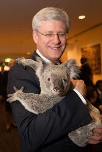 考拉外交 考拉外交