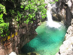 牯牛降自然保護區