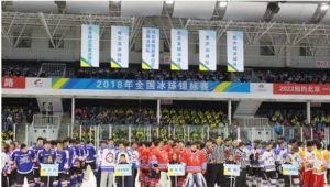 2018年全國冰球錦標賽 2018年全國冰球錦標賽
