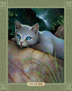 晴天[貓武士的角色之一]