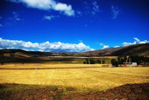 八美草原景區 八美草原景區