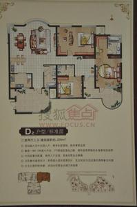 海濱喜來登花園D2戶型圖