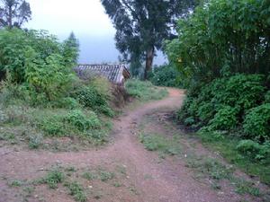 （圖）進村道路