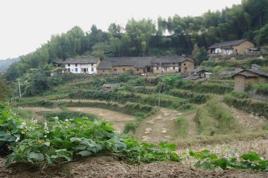 花園村[安徽省望江縣高士鎮花園村]