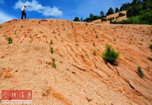 湖山鄉[福建省龍巖市永定區湖山鄉]