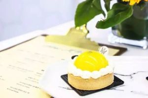 米其林體 米其林體