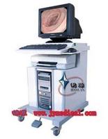 胃腸部疾病 胃腸部疾病