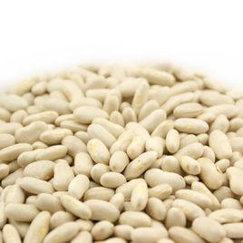 威寧芸豆 威寧芸豆