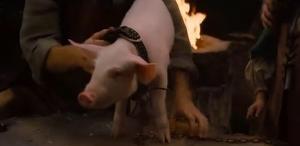 《血紅帽 》圖片