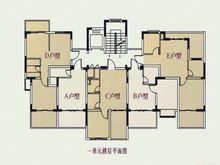 單元樓層平面圖