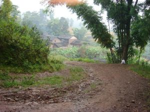 持莫路博自然村 持莫路博自然村