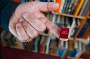 世界最小英語詞典共有384頁，詞典中收錄了超過1.3萬個單詞。