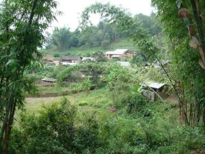 富尼大寨村 富尼大寨村