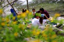 陝西太平國家森林公園