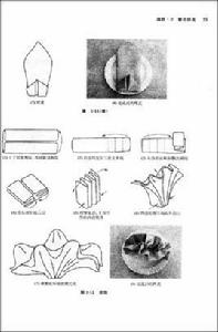 餐飲服務項目 餐飲服務項目