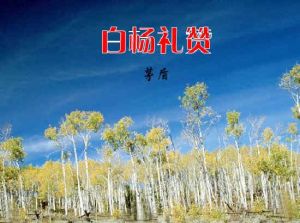 白楊禮讚