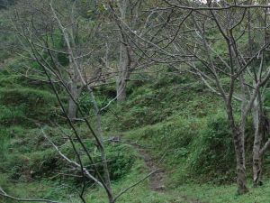 後山二村 後山二村