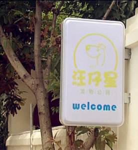 汪仔星寵物公園 汪仔星寵物公園