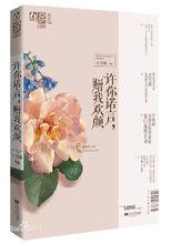 許你諾言，贈我歡顏 封面