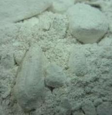 煅石膏[煅石膏]