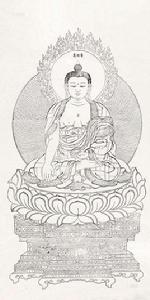 普見如來 普見如來