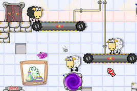 送小羊多利回家 送小羊多利回家