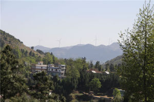 海坪村[富源縣中安鎮下轄村]