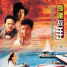 奇逢敵手 (2003) 