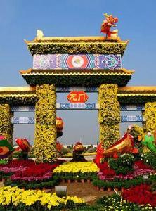 小欖菊花會 小欖菊花會