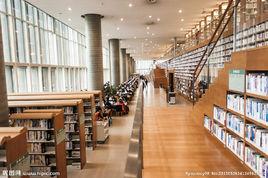 圖書館服務 圖書館服務