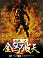 海賊王之金烏破天 海賊王之金烏破天