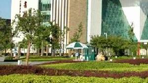 寧河縣表口鄉教育組 寧河縣表口鄉教育組