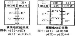液接電位 液接電位