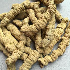 高要巴戟天 高要巴戟天